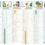 calendrier 2025-2026 thème "Pas si bêtes !", avec illustrations de Endless Detours, dessins d'animaux, recto : mois septembre à février