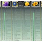 calendrier 2025-2026 thème "Parfums de Couleurs" avec photos de fleurs, verso : mois mars à août